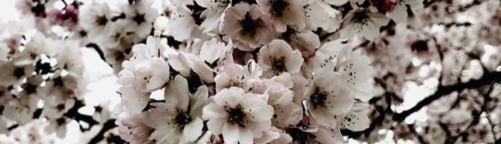 Little Bit Of Sunshine & Rain